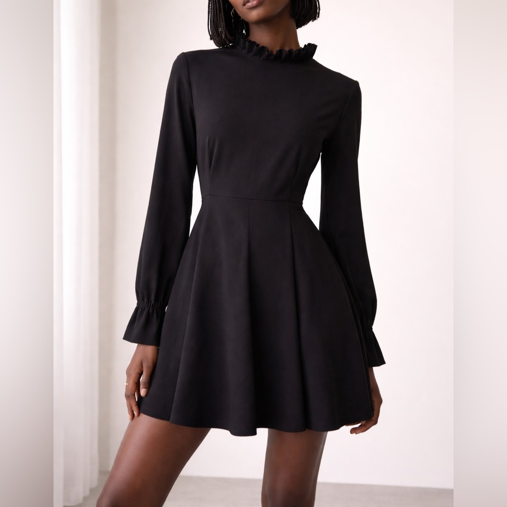Zara Black Long-Sleeve Ruffle Neck Fit-and-Flare Dress
